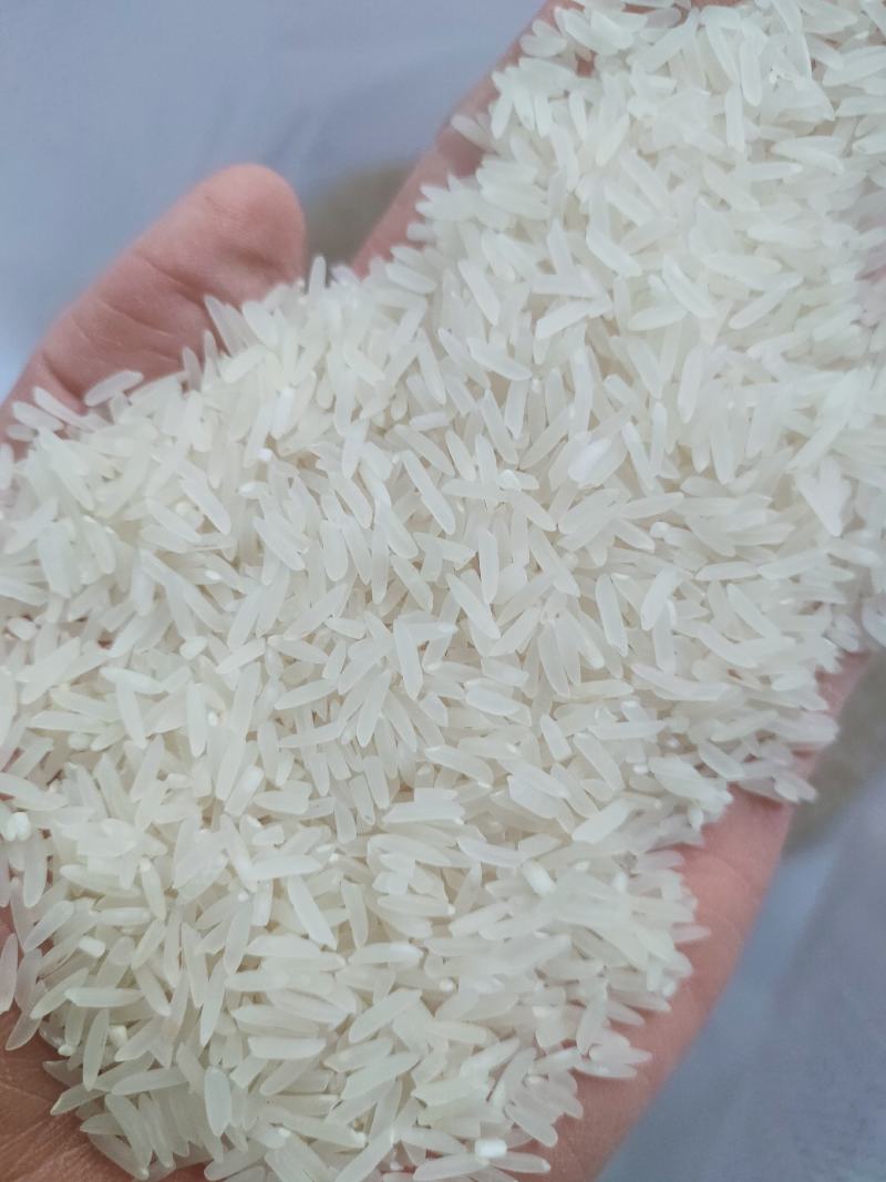 象牙米桂林市厂家直销砂锅饭煲仔饭专用米。