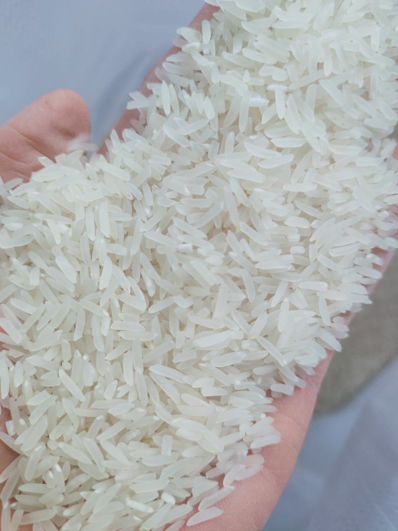 象牙米桂林市厂家直销砂锅饭煲仔饭专用米。