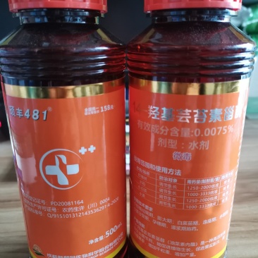 成都新朝阳~硕丰481保花保果调节生长发芽分化