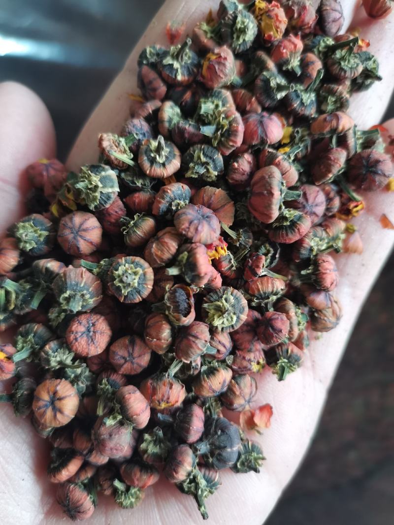 雪菊新疆野生昆仑雪菊胎菊高海拔家乡的味道包邮
