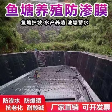 鱼塘养殖防渗土工膜土工膜黑色土工膜