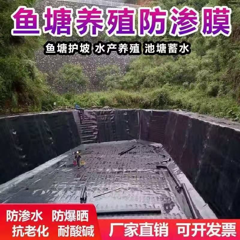 鱼塘养殖防渗土工膜土工膜黑色土工膜