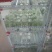 农科院授权单位脱毒原种红薯苗西瓜红苗龙九苗烟薯苗蜜薯苗