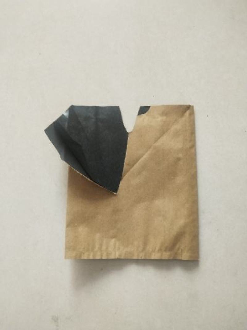 桃袋桃子套袋户外露天专用单双层桃子套袋规格型号齐全