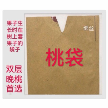 桃袋桃子套袋户外露天专用单双层桃子套袋规格型号齐全