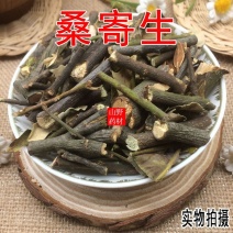 云南中药材桑寄生深山寄生寄生茶500g包邮