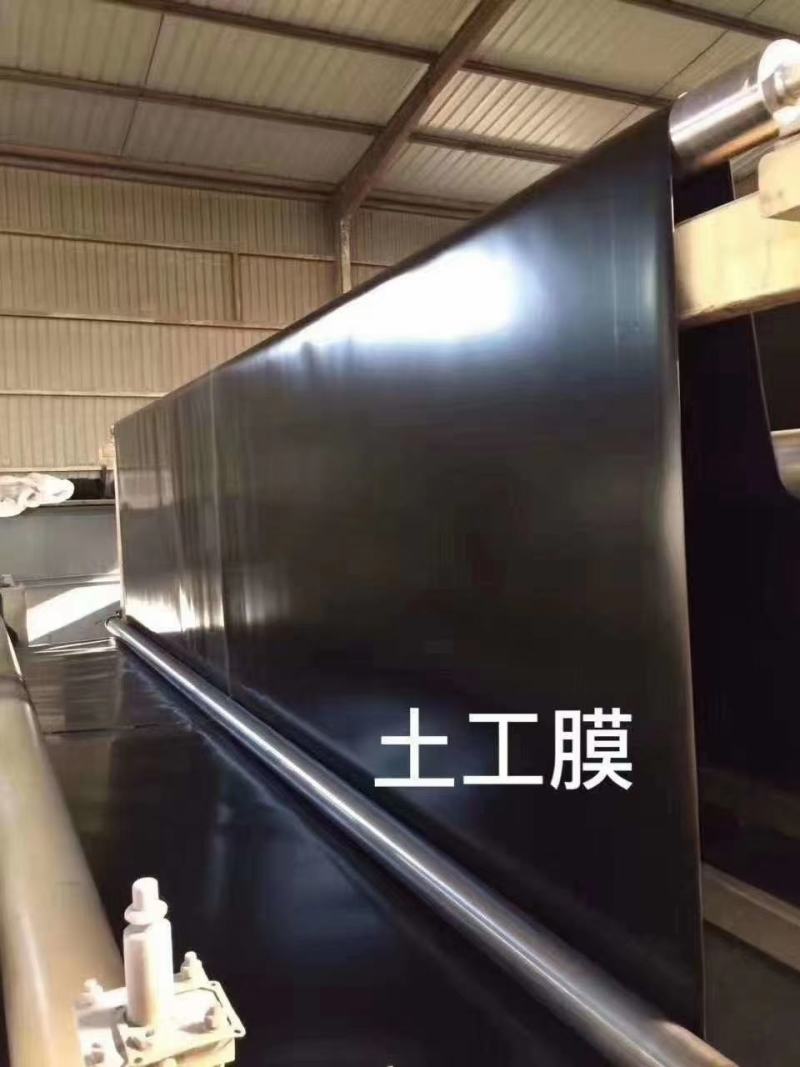 鱼塘养殖防渗土工膜土工膜黑色土工膜