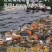 防渗膜防渗土工膜防水土工膜HDPE土工膜