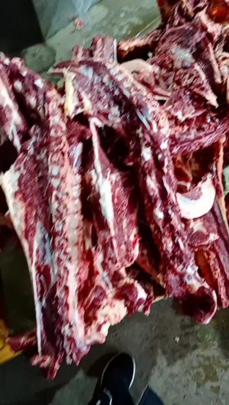 驴蝎子马蝎子全套多肉驴脊骨驴脖骨肉新鲜真空包装