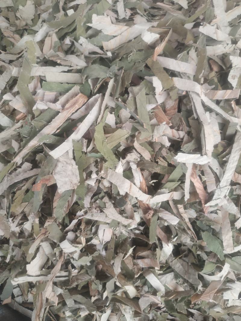 荷叶～荷叶丝@~新货量大优惠～1公斤起售~欢迎咨询采购
