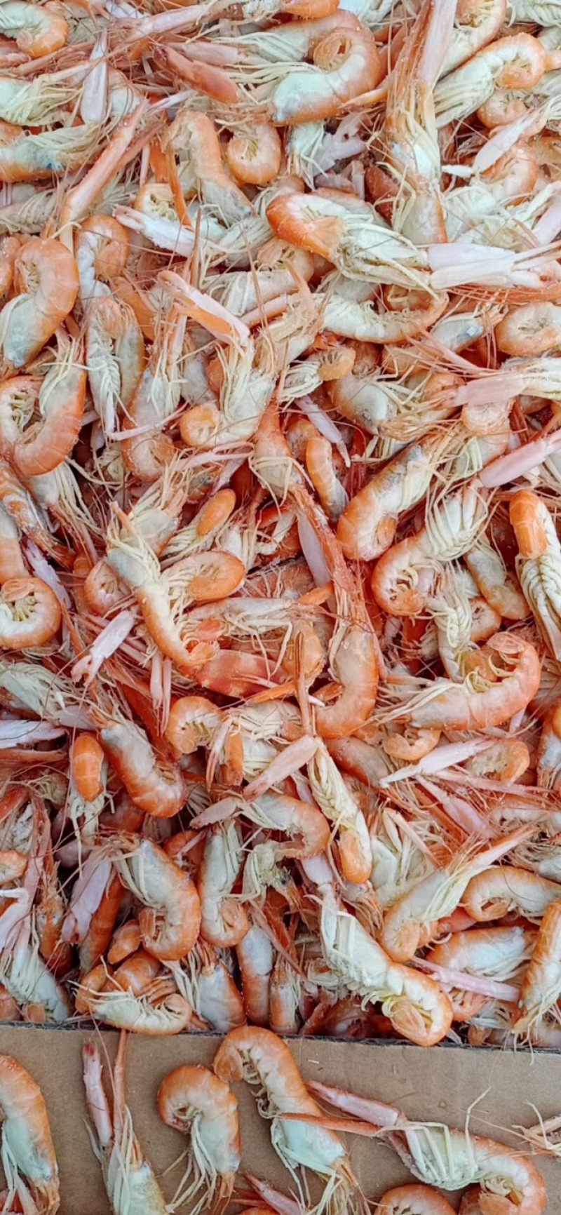 烤虾干海鲜特产干货大号对虾干货孕妇宝宝即食虾零食