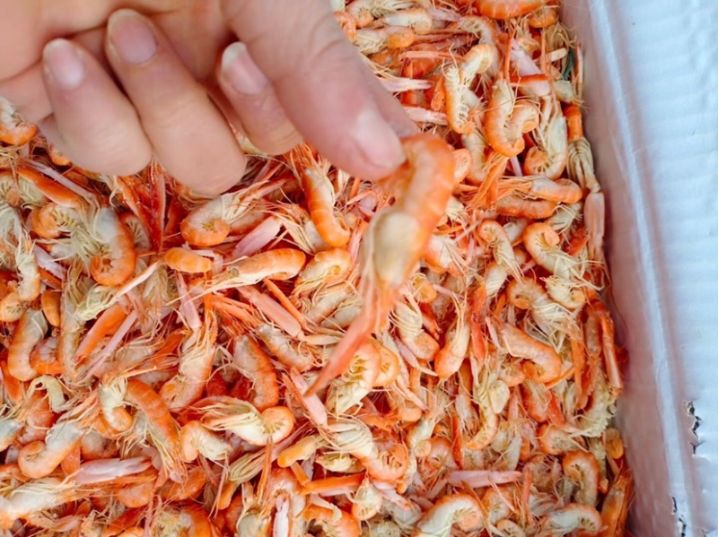 烤虾干海鲜特产干货大号对虾干货孕妇宝宝即食虾零食