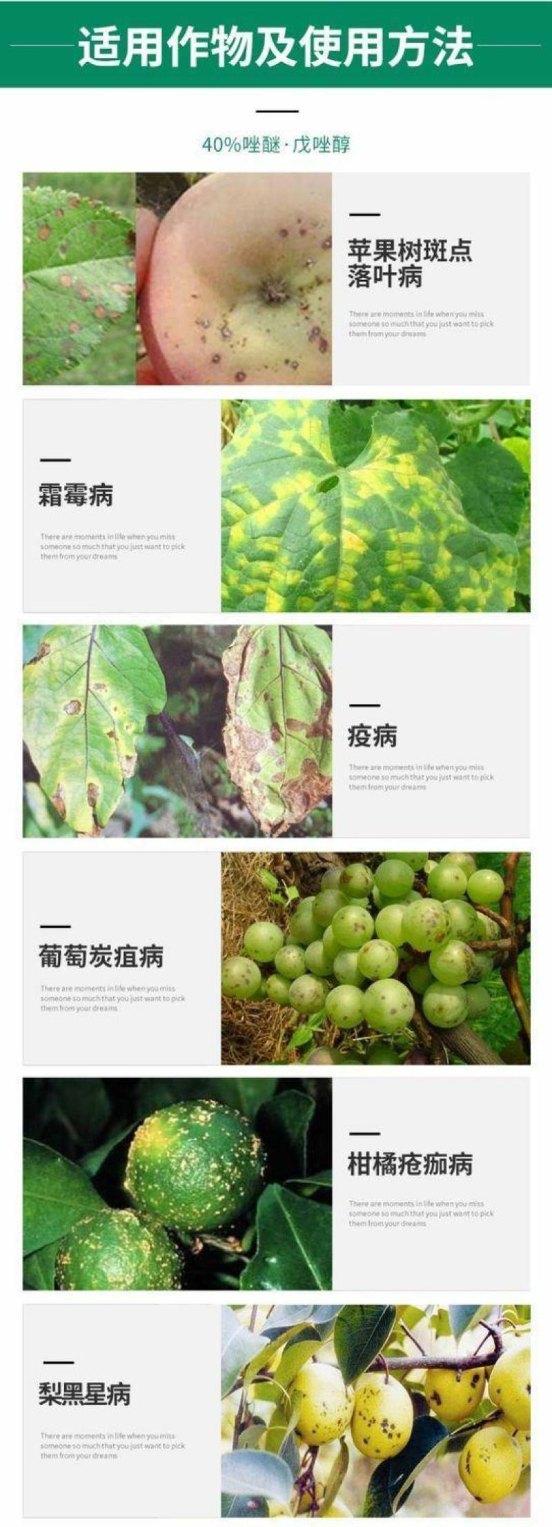 沪联40%唑醚戊唑醇吡唑醚菌酯炭疽斑点落叶病砂皮病杀菌剂