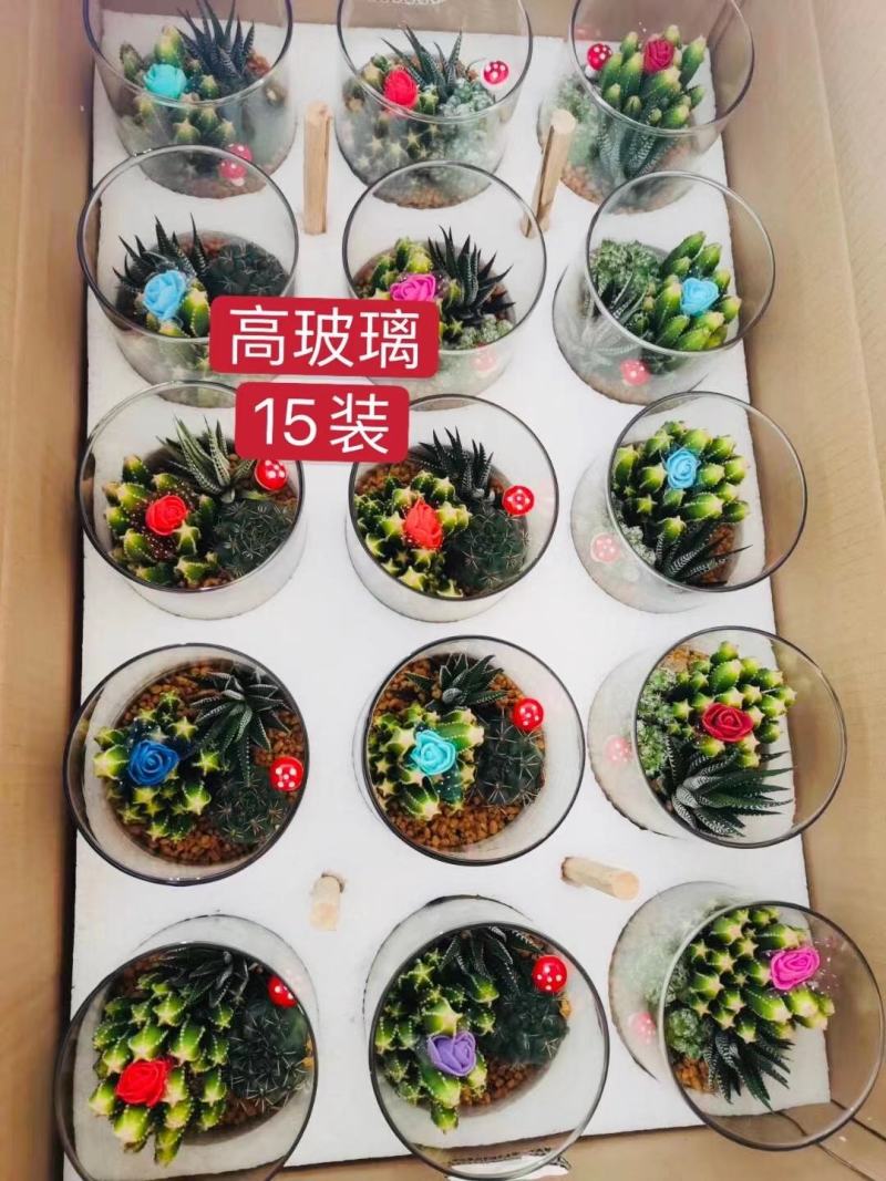 组盆系列网红盆子杯子