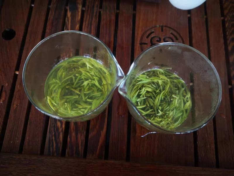贵州云雾高山明前毛尖茶