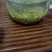 贵州云雾高山明前毛尖茶