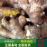 【热卖368高产王姜种】专业技术指导全国发货
