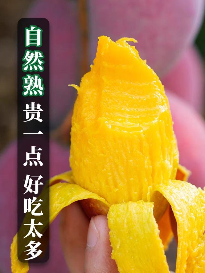 海南贵妃芒【一件代发】电商平台微商代理社区团购实体落地配