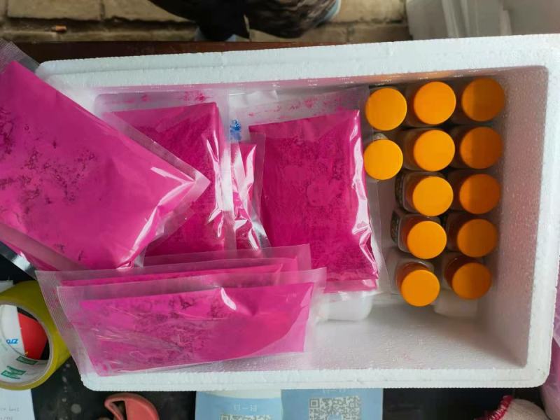 猕猴桃花粉，精粉，坐果率高品牌多适用于各个猕猴桃品种