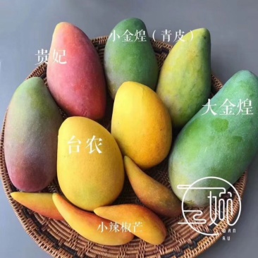海南台农芒【一件代发】电商平台微商代理社区团购实体批发