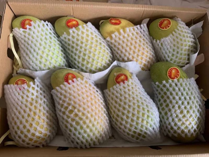 海南金煌芒【一件代发】电商平台微商代理社区团购实体落地配