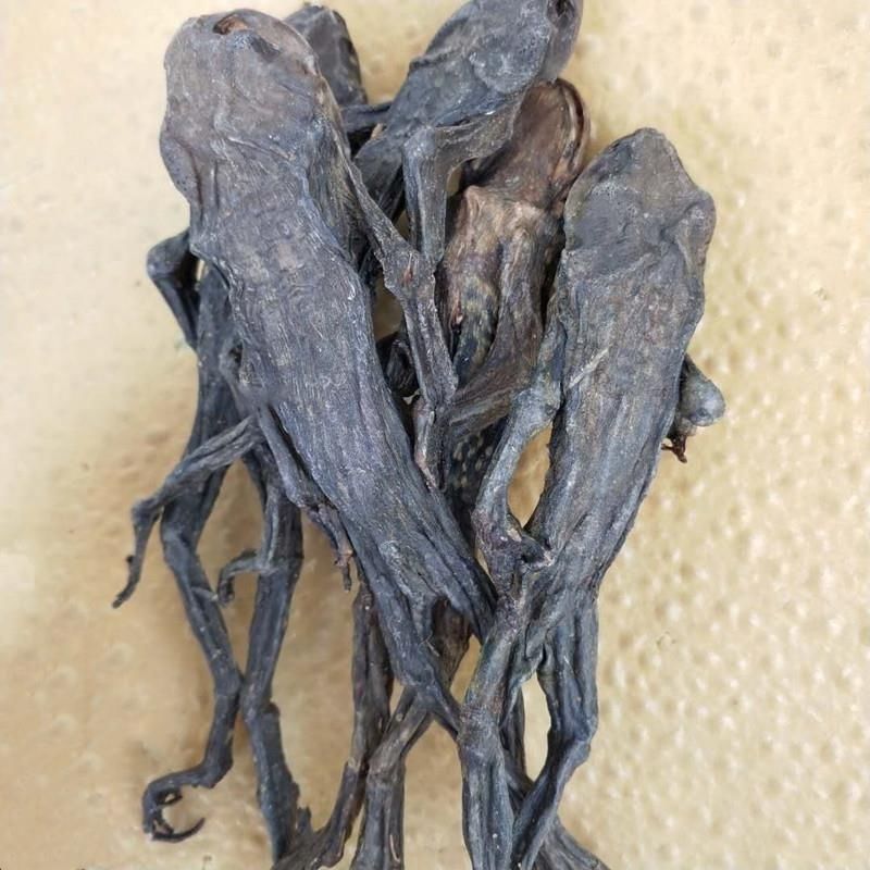 中药材干蟾皮/蟾皮/蟾蜍皮/蟾衣/蟾蜍干/癞蛤蟆干1