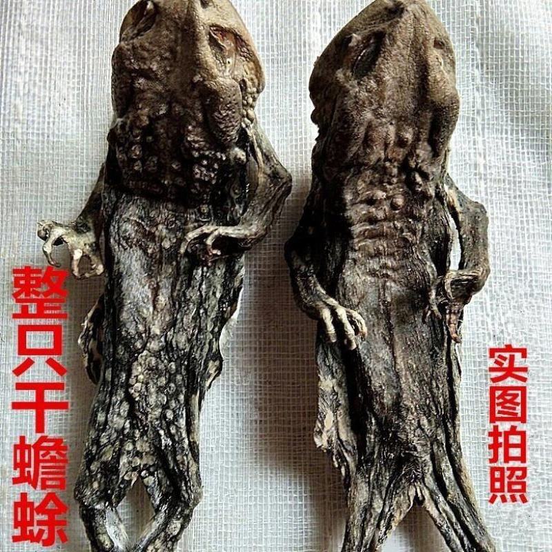 中药材干蟾皮/蟾皮/蟾蜍皮/蟾衣/蟾蜍干/癞蛤蟆干1