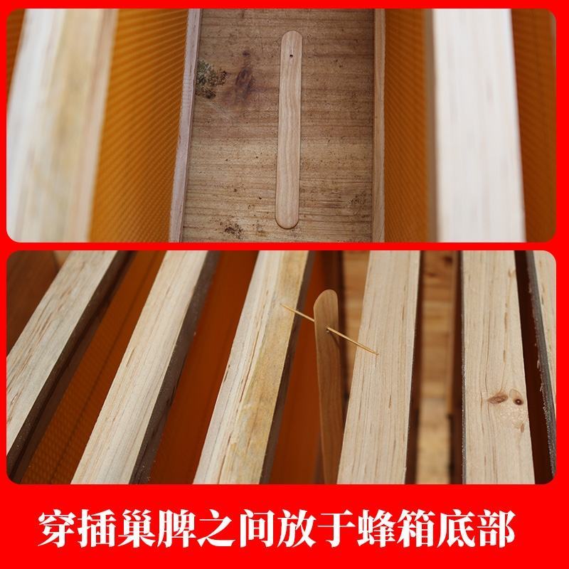 巢虫清木片中蜂专用巢清10片装巢虫净白头蛹棉虫药条蜂药巢