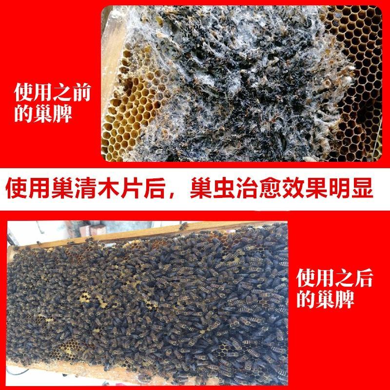 巢虫清木片中蜂专用巢清10片装巢虫净白头蛹棉虫药条蜂药巢