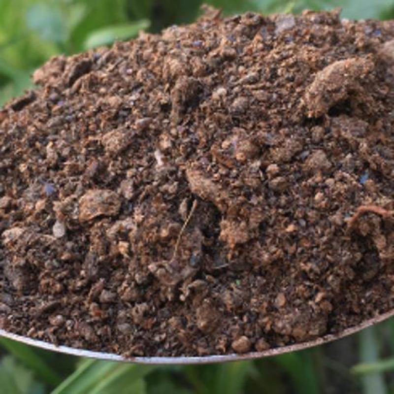 中药材夜明砂蝙蝠屎蝙蝠粪便天鼠屎鼠法石肝黑砂星