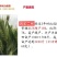 大穗高抗高产小麦种，抗倒伏亩产1600斤左右