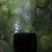 绿甘蓝0.5~1公斤精品