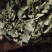 花椒枝花椒叶粉碎沫花椒枝叶粉碎而成大量有货