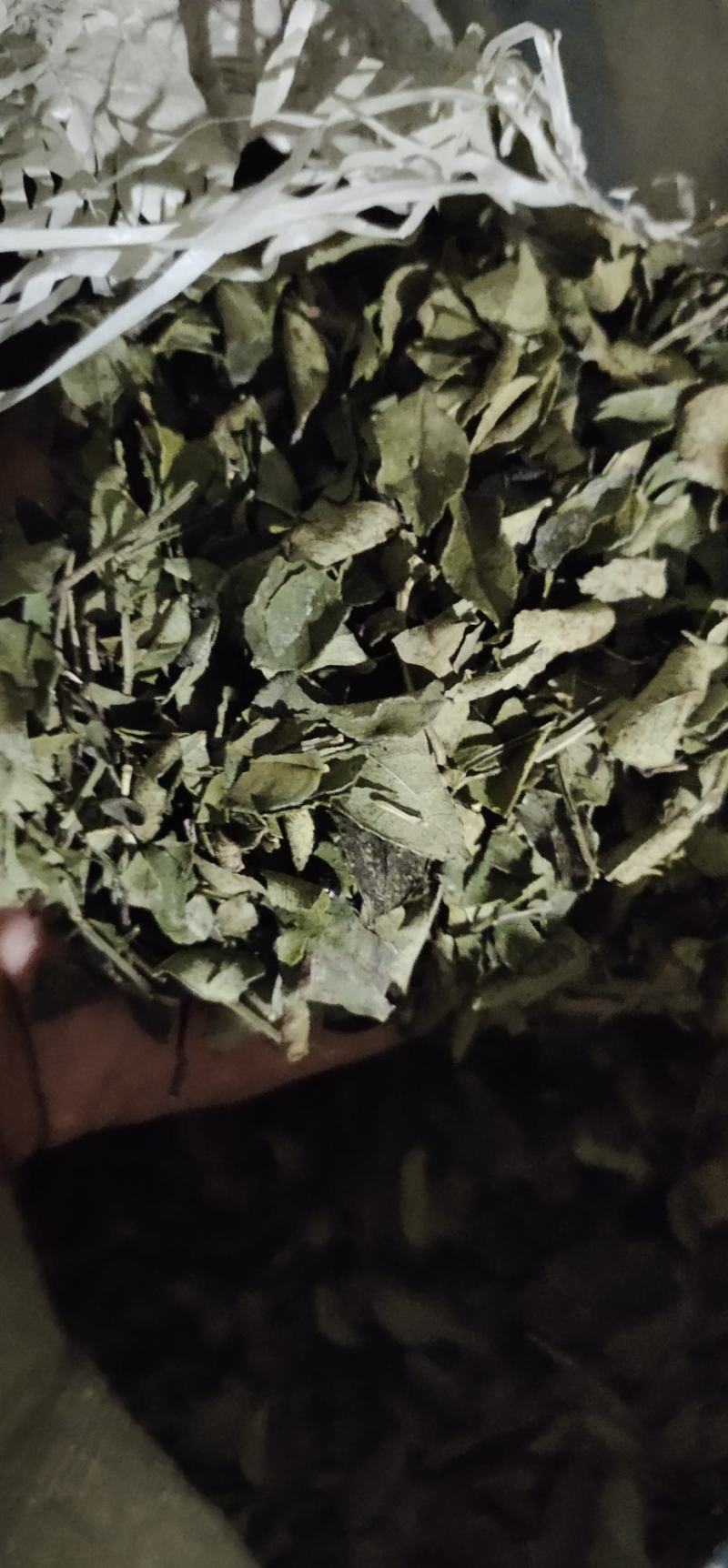 花椒枝花椒叶粉碎沫花椒枝叶粉碎而成大量有货