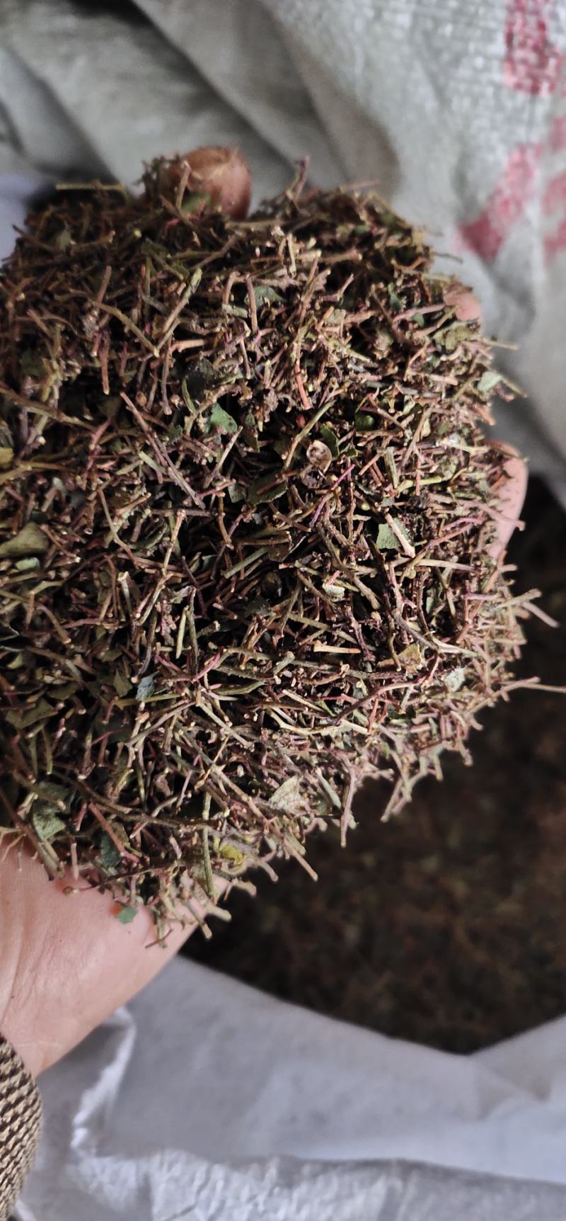 花椒枝花椒叶粉碎沫花椒枝叶粉碎而成大量有货
