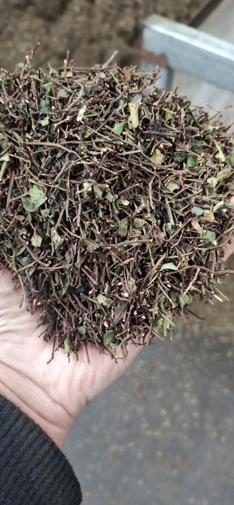 花椒枝花椒叶粉碎沫花椒枝叶粉碎而成大量有货