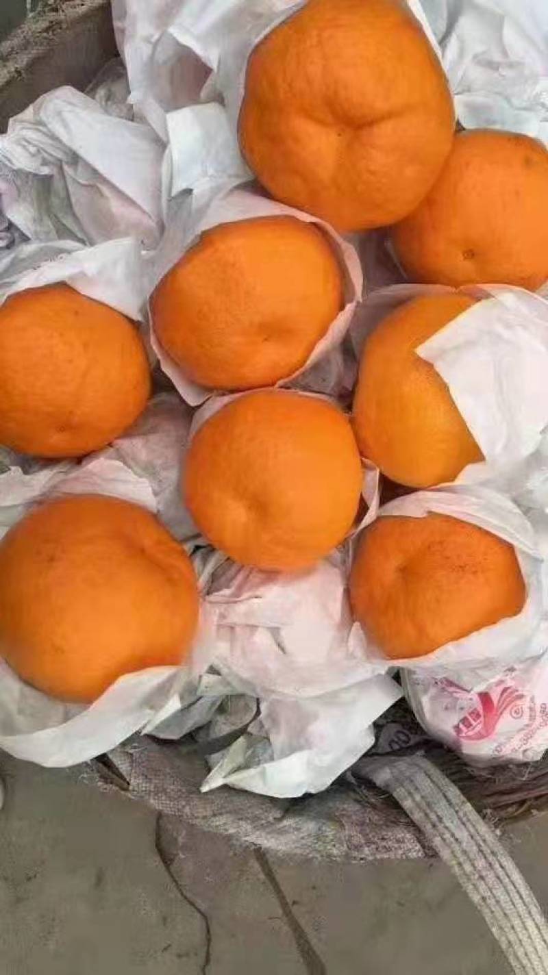 不知火（丑八怪）味道，颜色都好，本人诚实守信，为本，