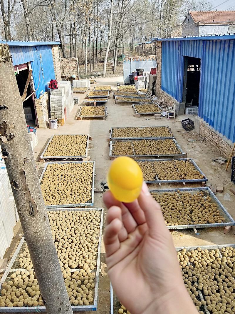 【优选】松花蛋速成鸡皮蛋变蛋厂家，全国可发货