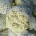 白花菜花紧花2~3斤基地直供*保证质量*
