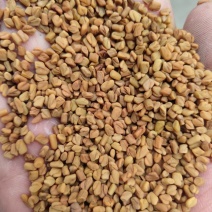 葫芦巴，芦芭子质量保证，经营各种中药材欢迎咨询合作！