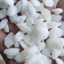 鱼脑石，中药材鱼脑石质量保证，经营各种中药材欢迎咨询合作