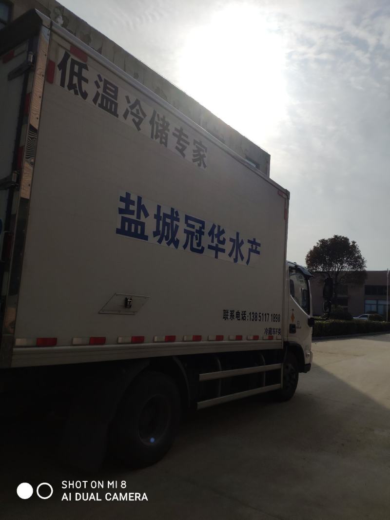 开背湄公鱼，方便，快捷，卫生，可做烤鱼、清蒸解冻即可下锅