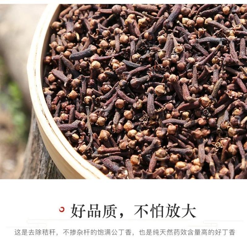 【推荐】大红丁香，丁香货源充足，一手货源，欢迎前来选购