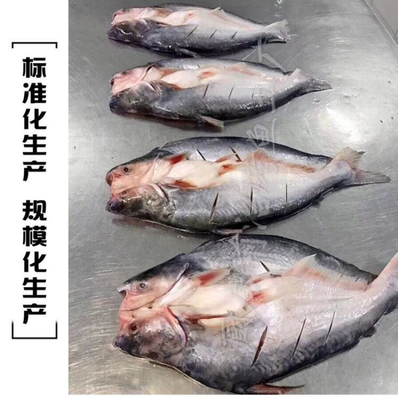 开背湄公鱼，方便，快捷，卫生，可做烤鱼、清蒸解冻即可下锅