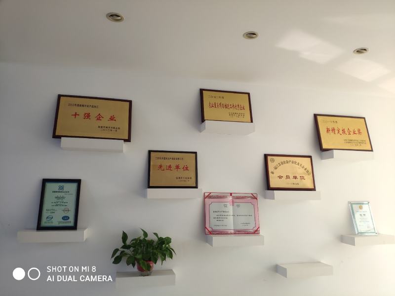 免浆巴沙鱼，原产地缅甸湄公河，肉质鲜嫩，刺少