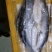 免浆巴沙鱼，原产地缅甸湄公河，肉质鲜嫩，刺少