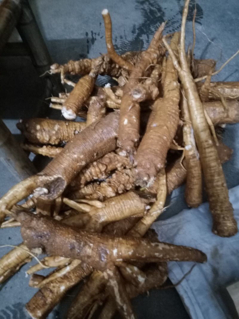 商陆，野生纯手工切片干货