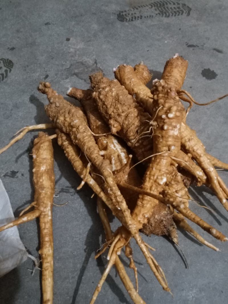 商陆，野生纯手工切片干货