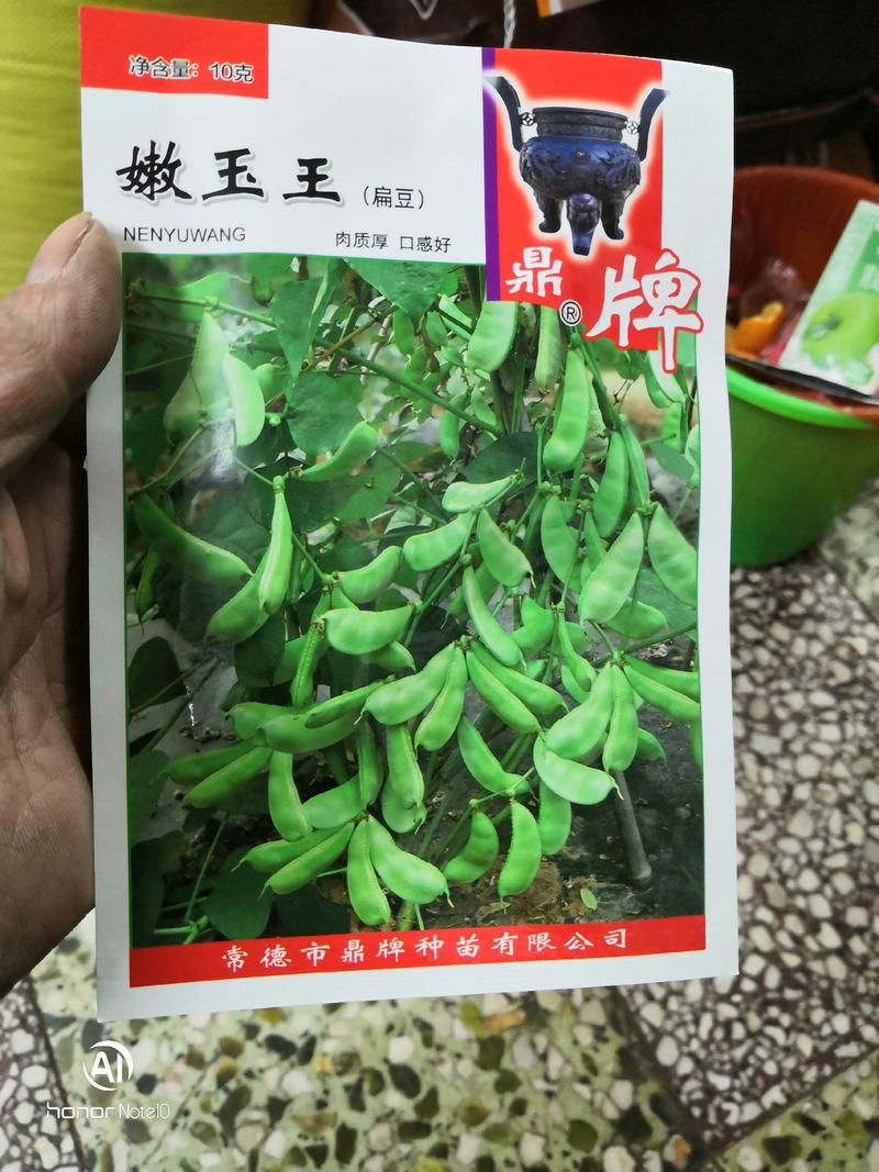 嫩玉王早熟扁豆种子，比常规扁豆提前100天上市