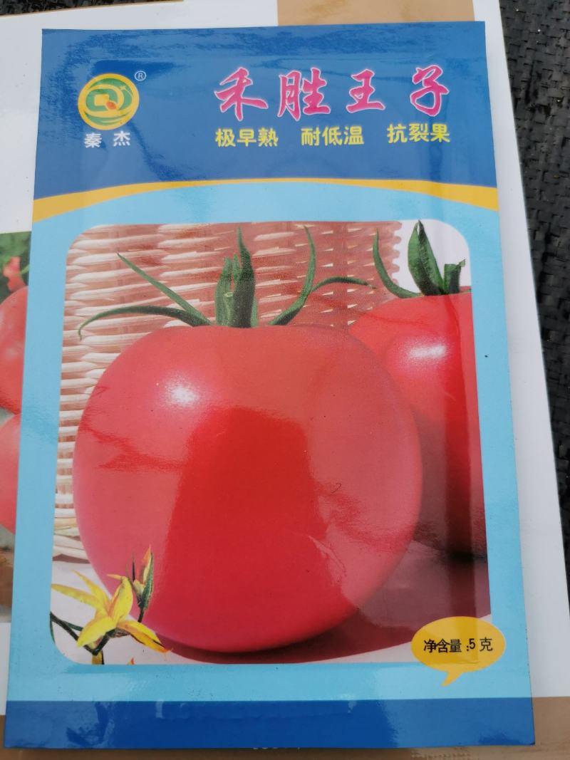 西红柿苗（博娜9号，博娜8号，意佰芬一5，粉多宝）